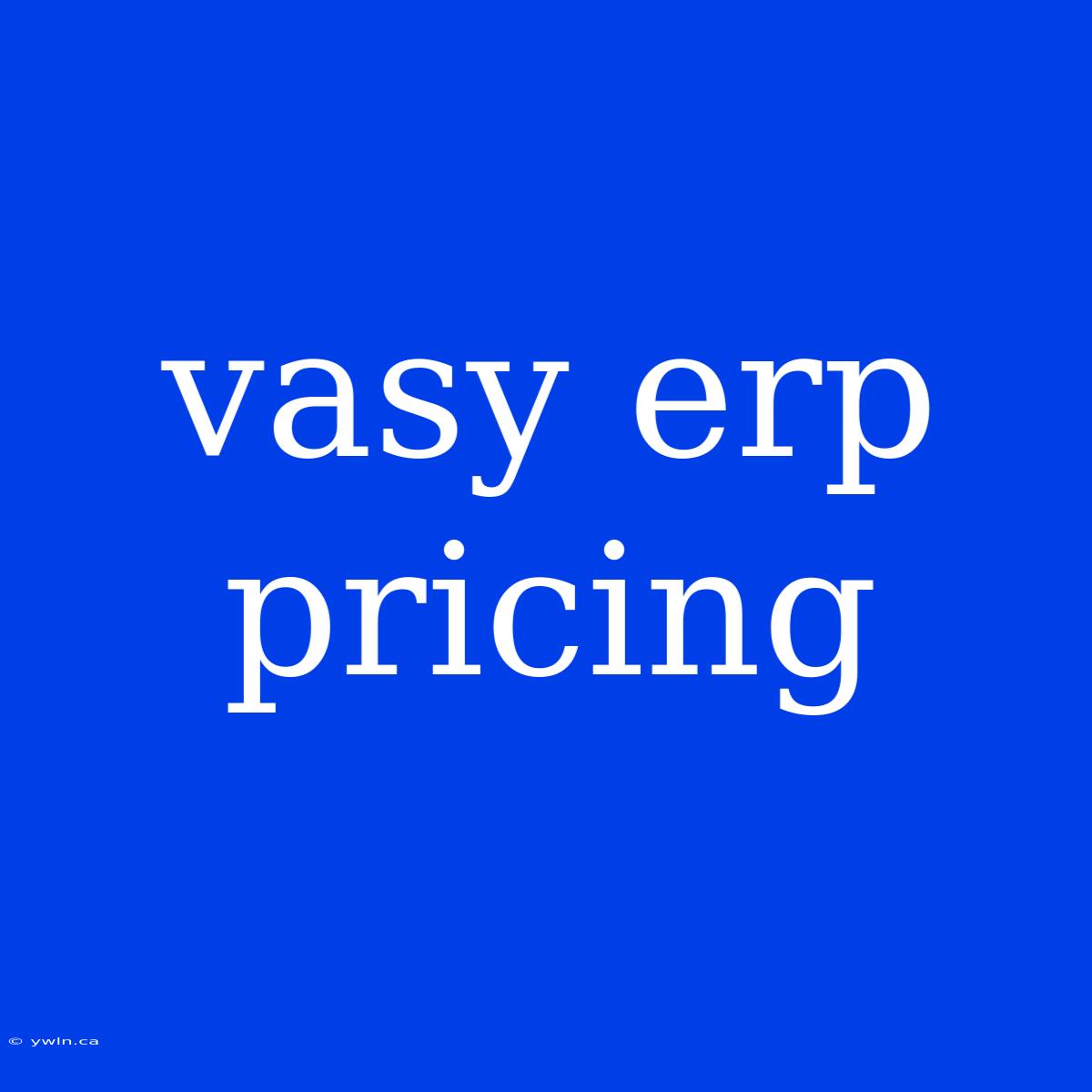 Vasy Erp Pricing