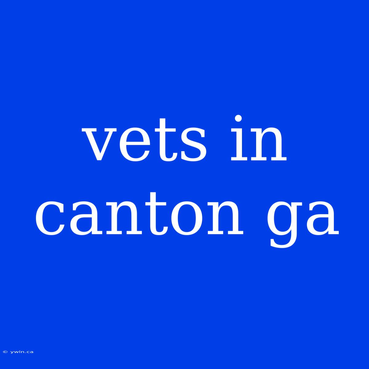 Vets In Canton Ga