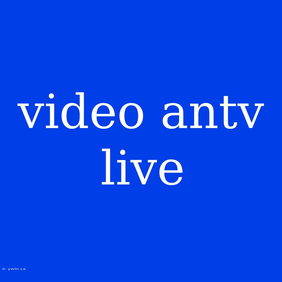 Video Antv Live