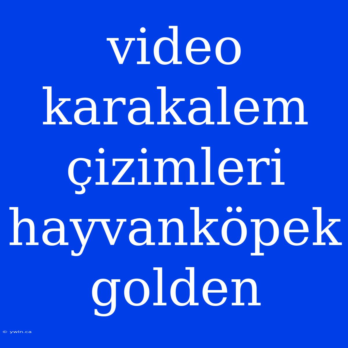 Video Karakalem Çizimleri Hayvanköpek Golden