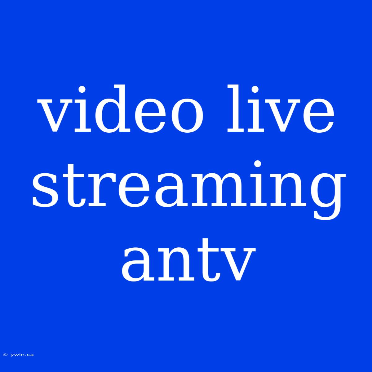 Video Live Streaming Antv