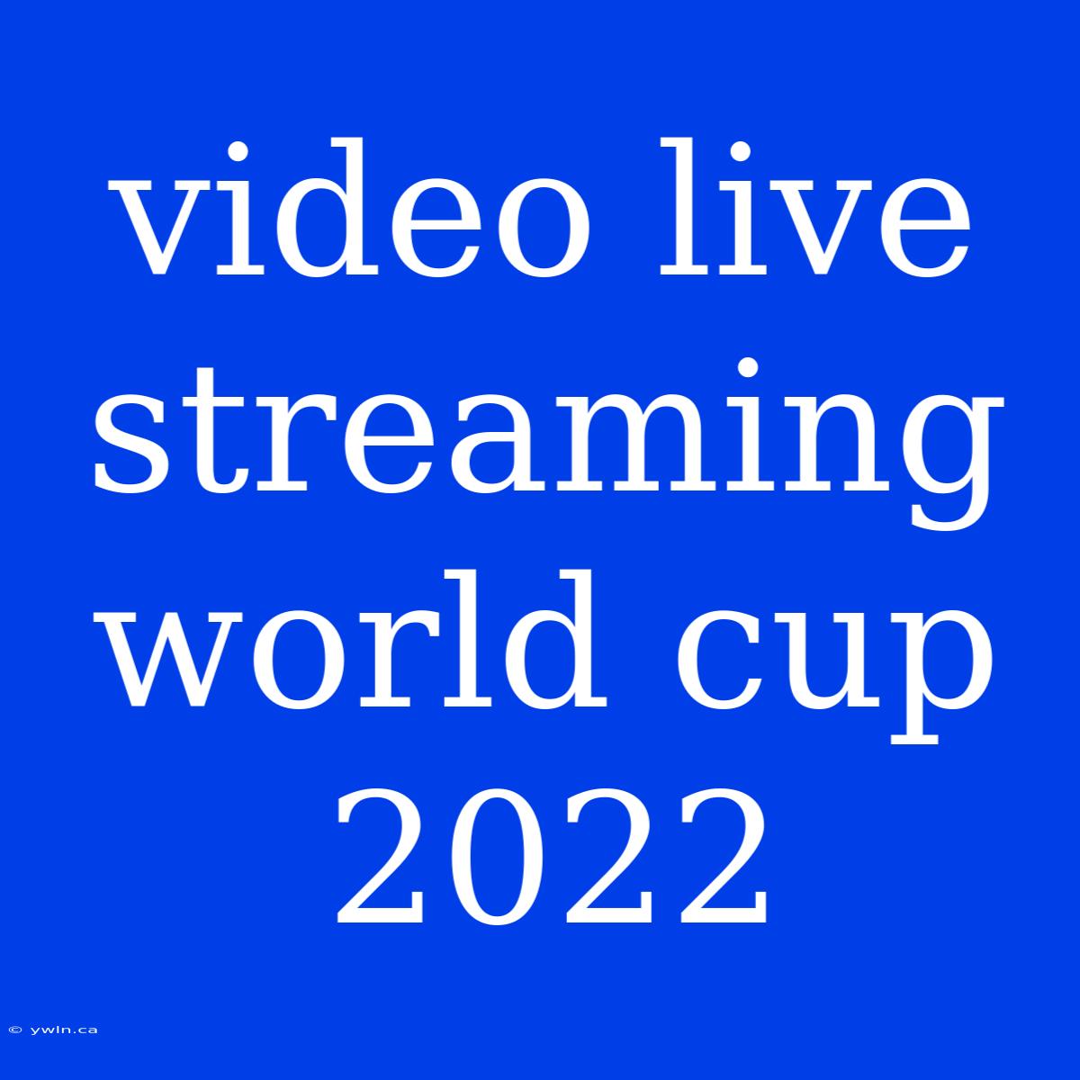 Video Live Streaming World Cup 2022