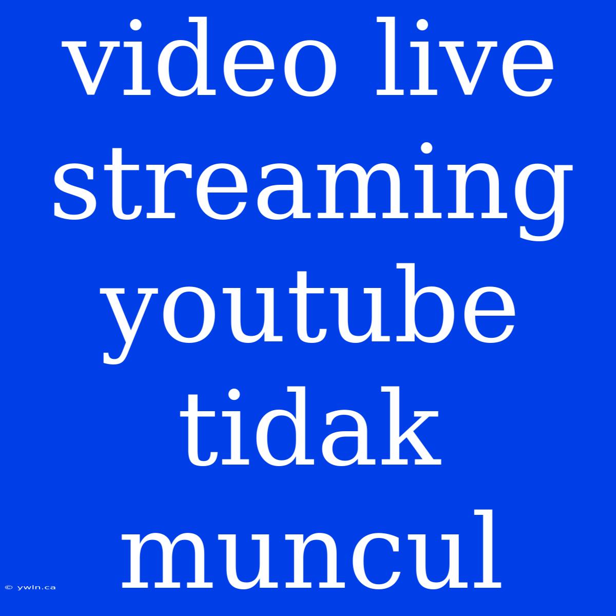 Video Live Streaming Youtube Tidak Muncul