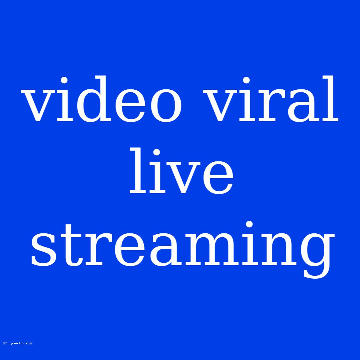 Video Viral Live Streaming