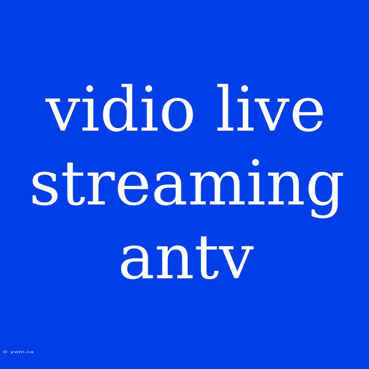 Vidio Live Streaming Antv