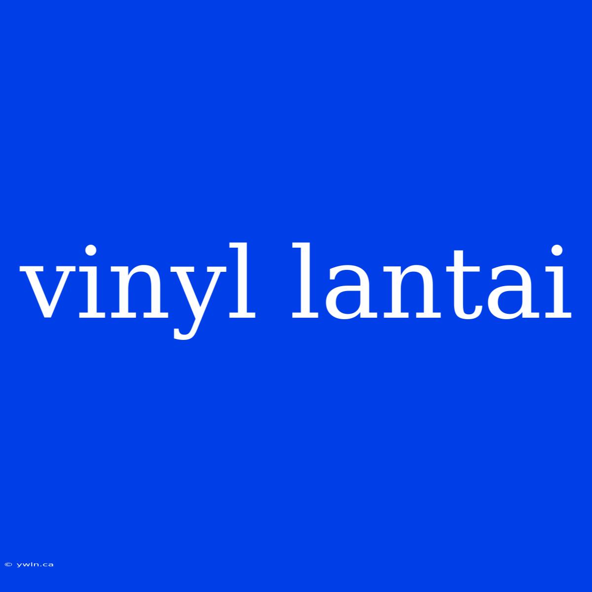 Vinyl Lantai