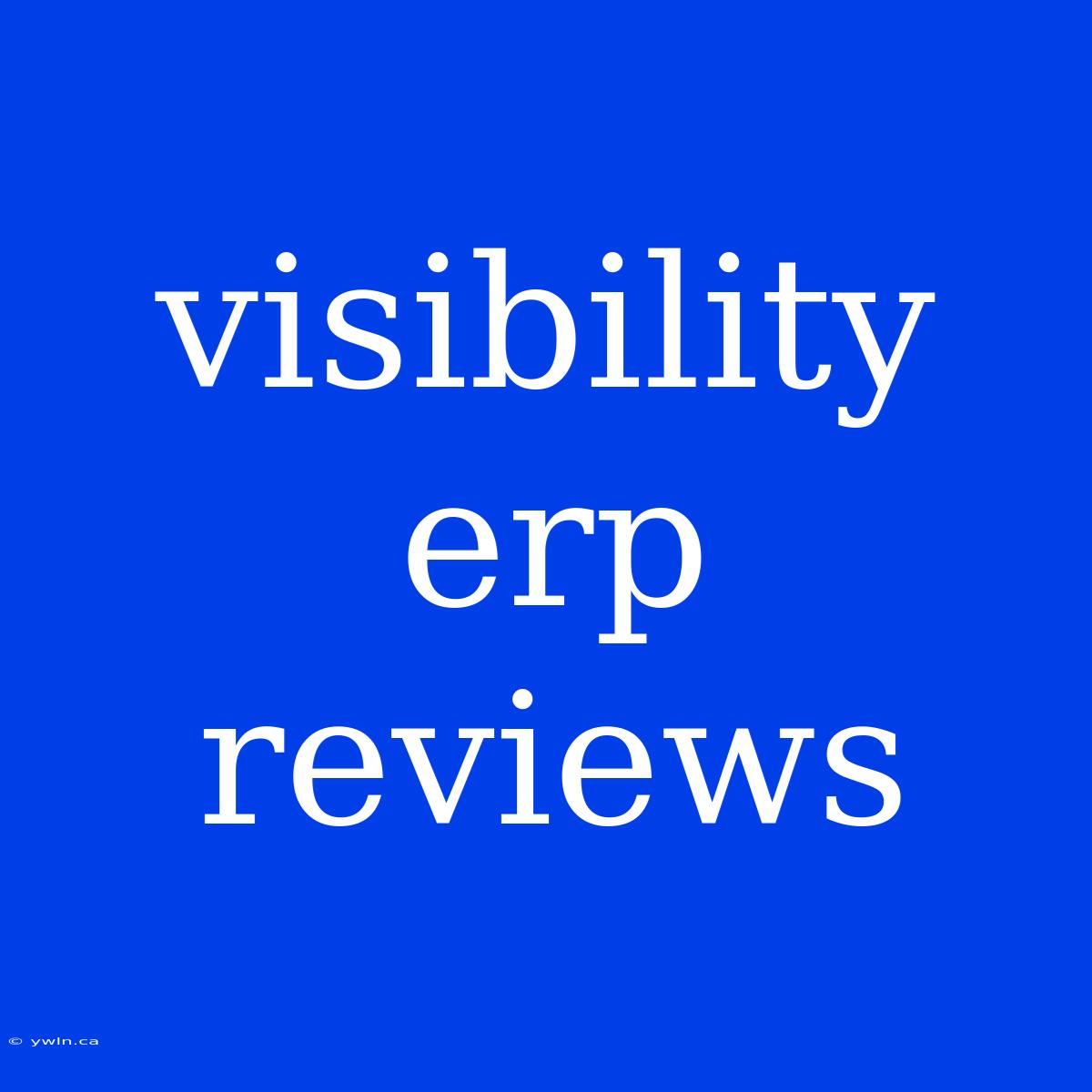 Visibility Erp Reviews