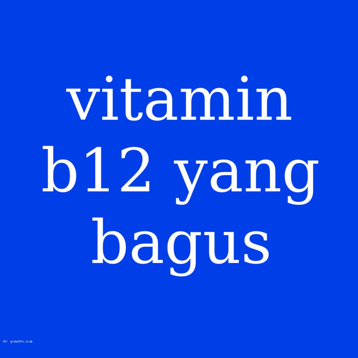 Vitamin B12 Yang Bagus