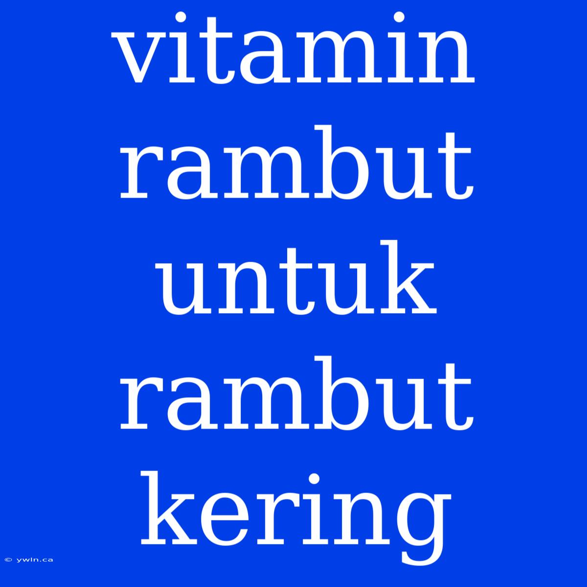 Vitamin Rambut Untuk Rambut Kering