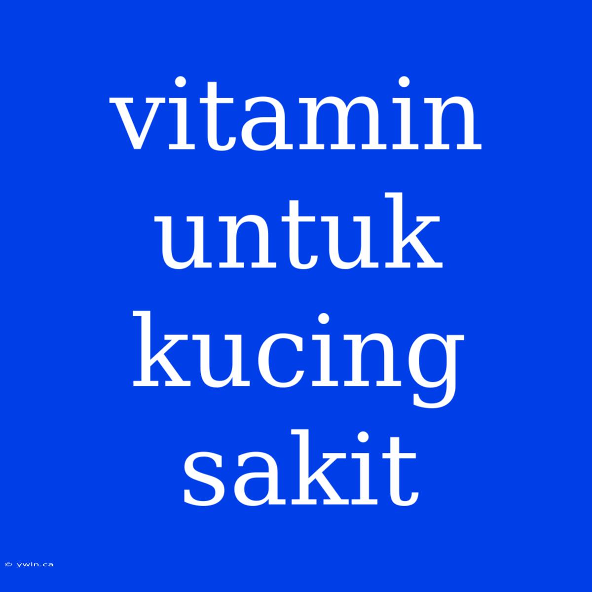 Vitamin Untuk Kucing Sakit