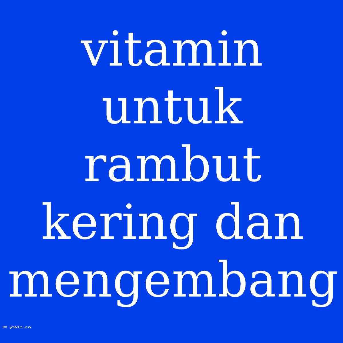 Vitamin Untuk Rambut Kering Dan Mengembang