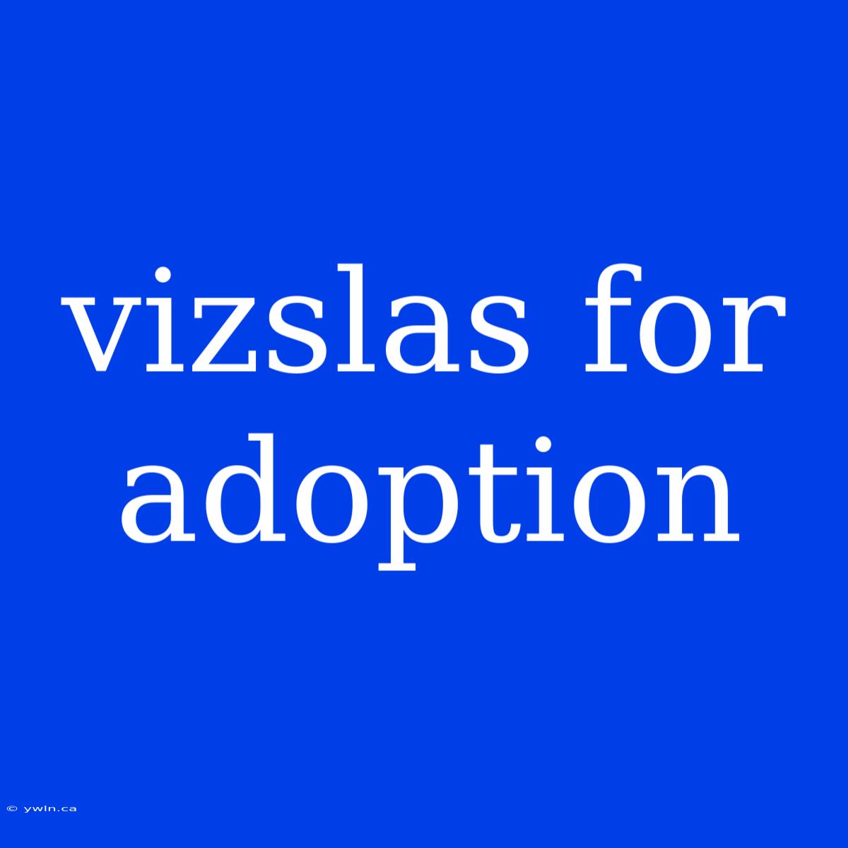 Vizslas For Adoption