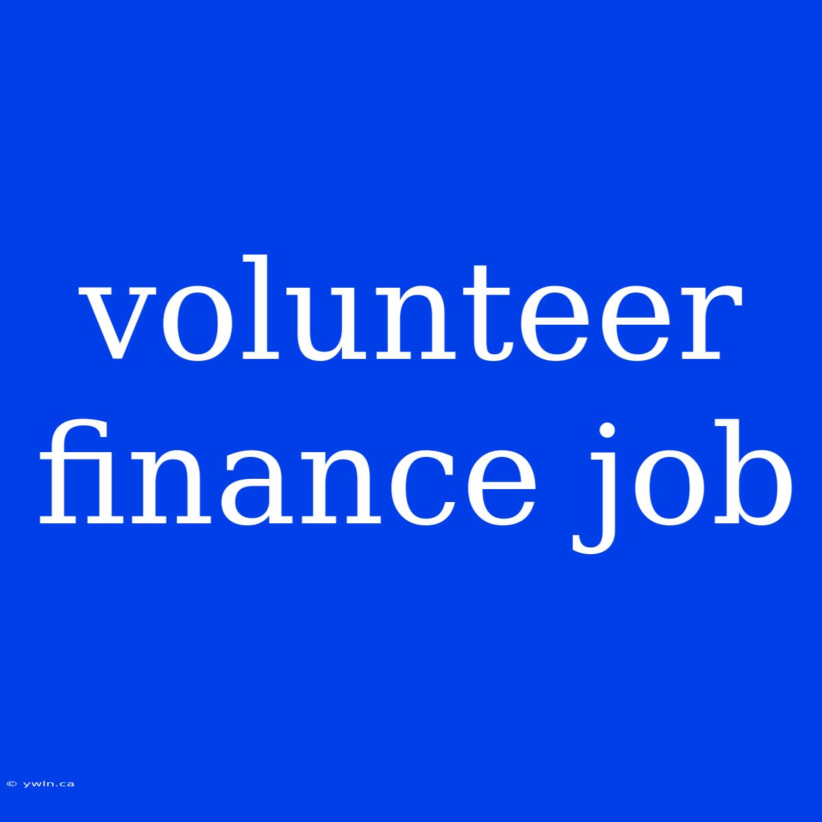 Volunteer Finance Job