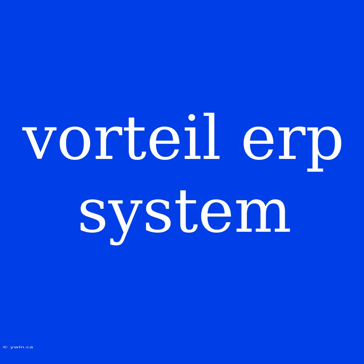 Vorteil Erp System