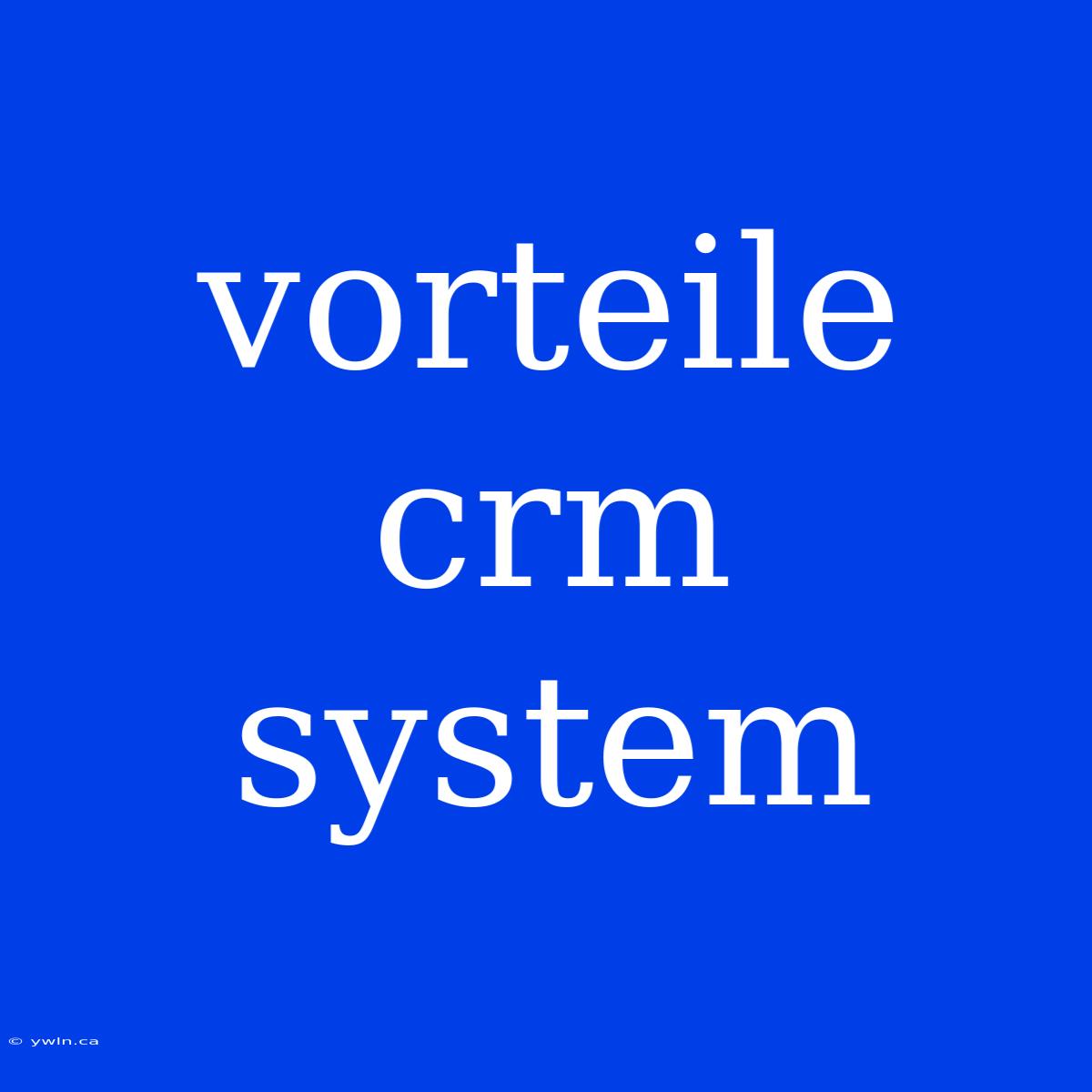 Vorteile Crm System