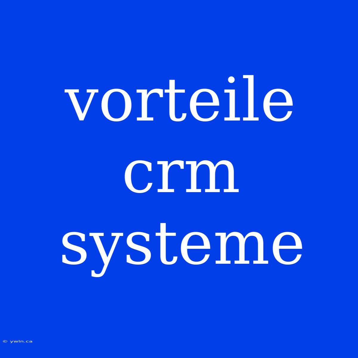 Vorteile Crm Systeme