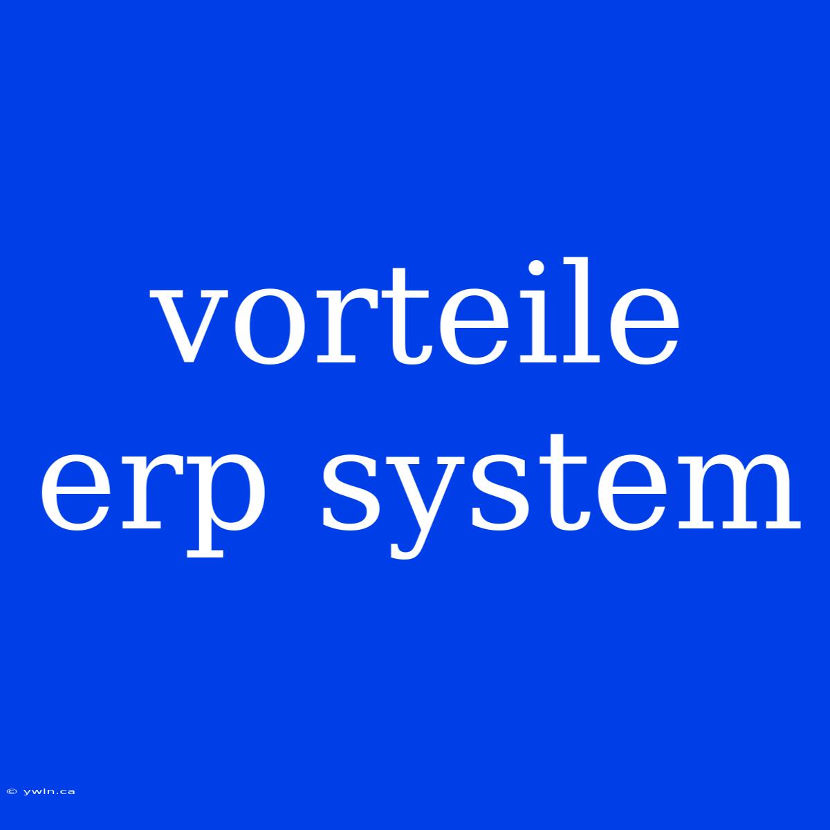 Vorteile Erp System