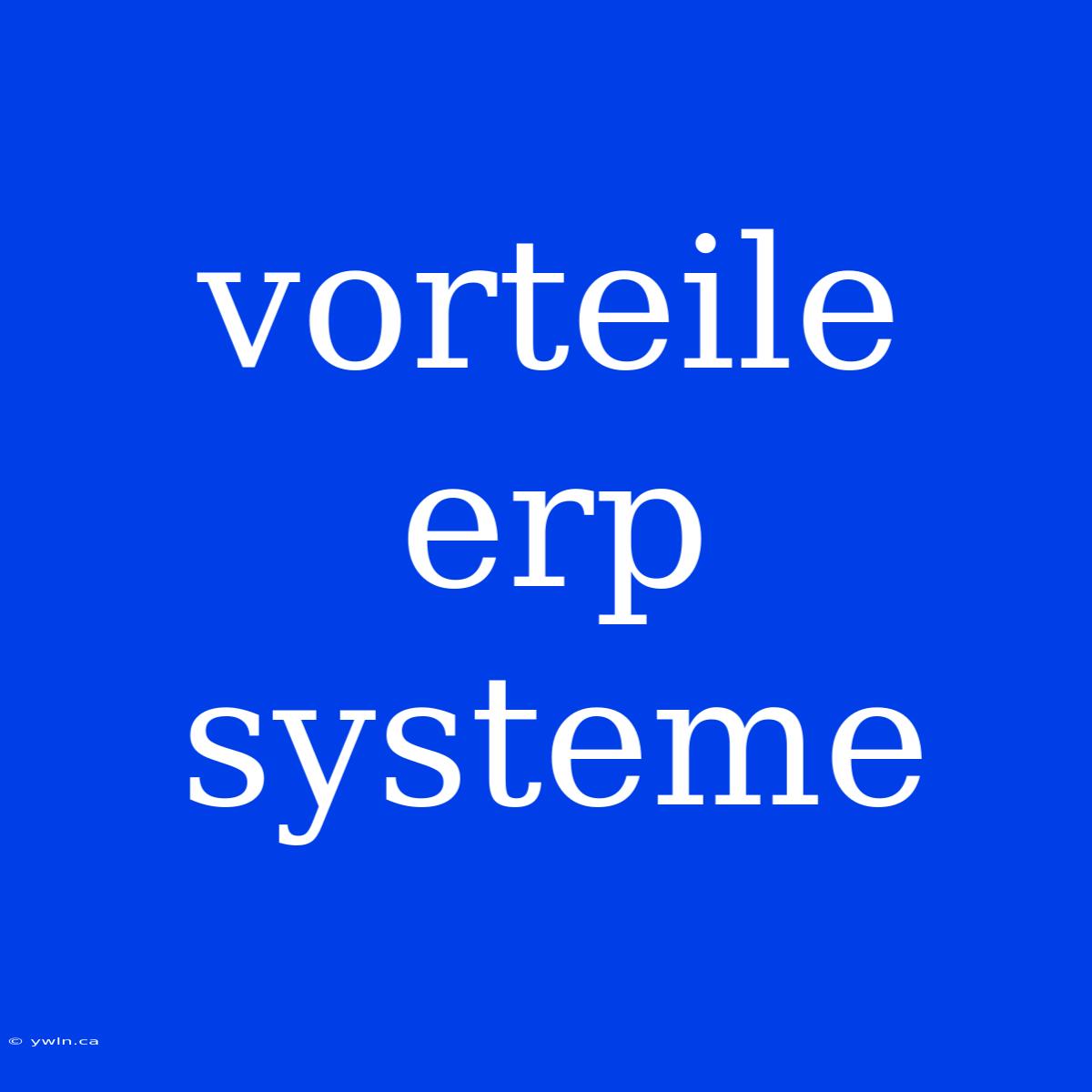 Vorteile Erp Systeme