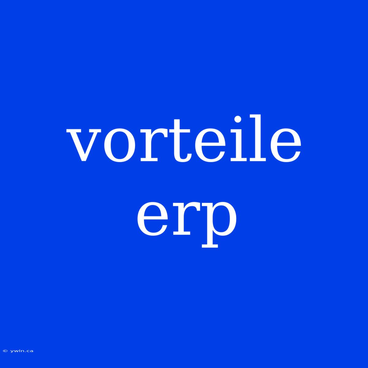 Vorteile Erp