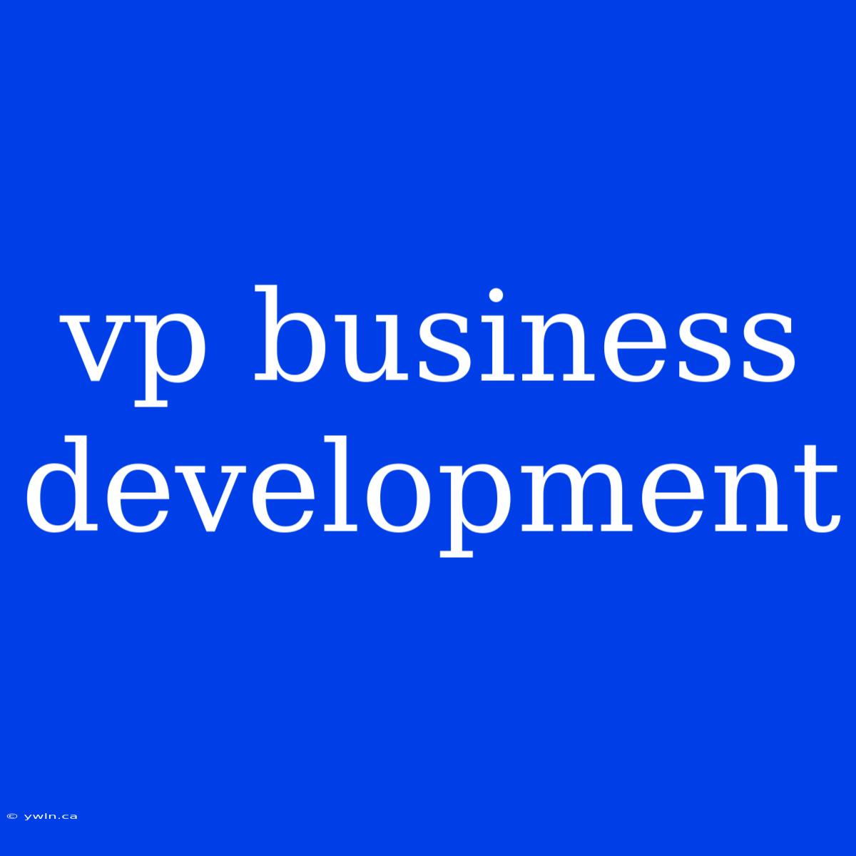 Vp Business Development