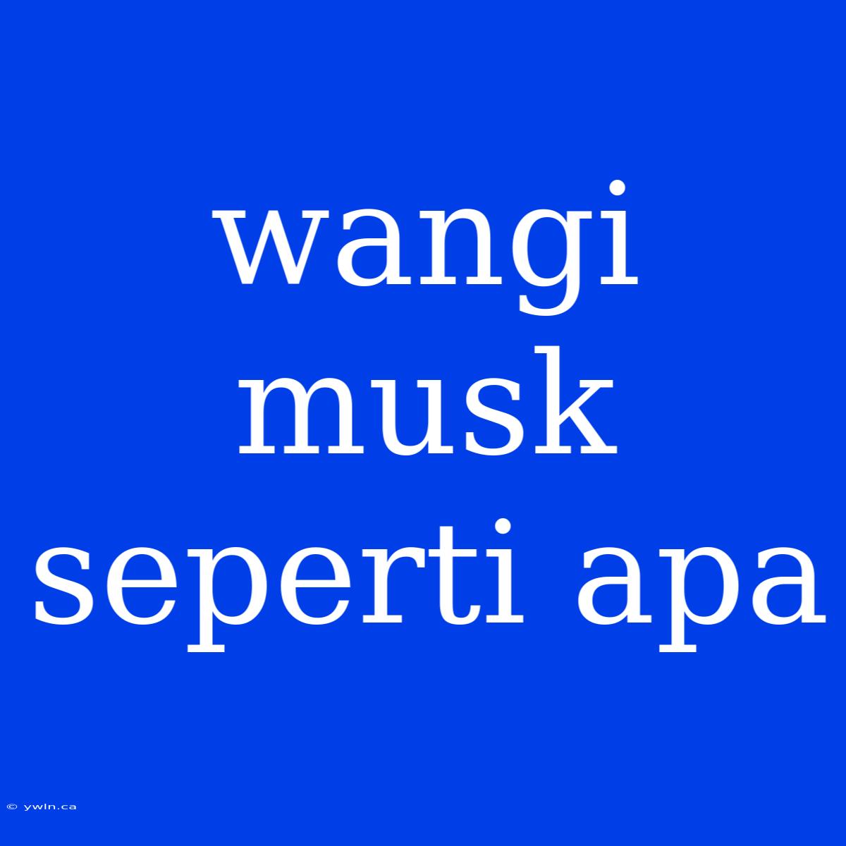 Wangi Musk Seperti Apa