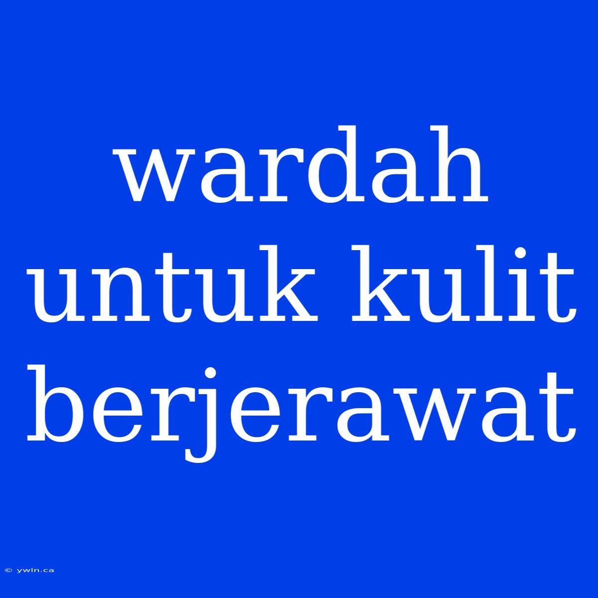 Wardah Untuk Kulit Berjerawat