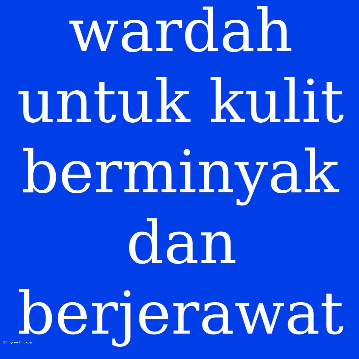 Wardah Untuk Kulit Berminyak Dan Berjerawat