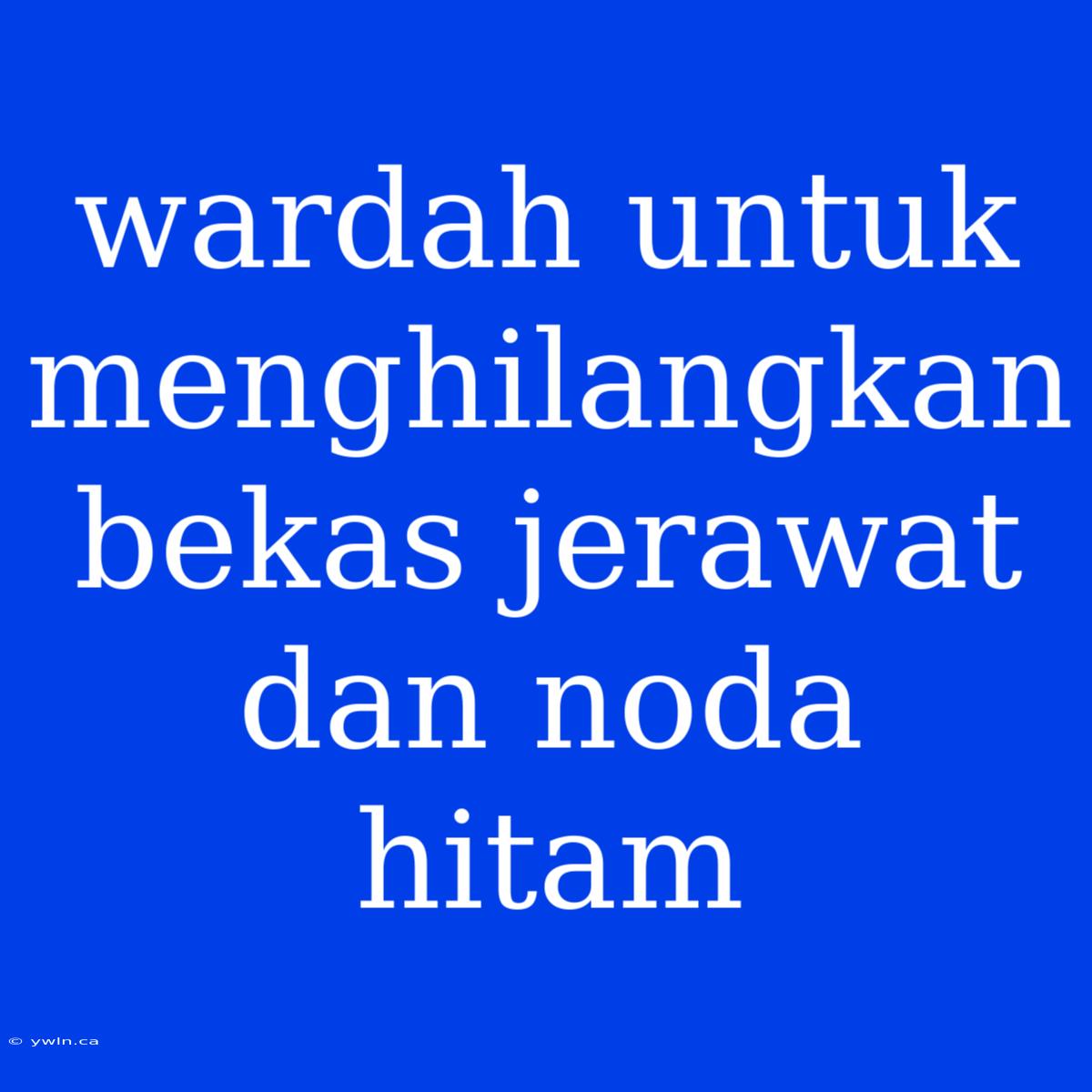 Wardah Untuk Menghilangkan Bekas Jerawat Dan Noda Hitam