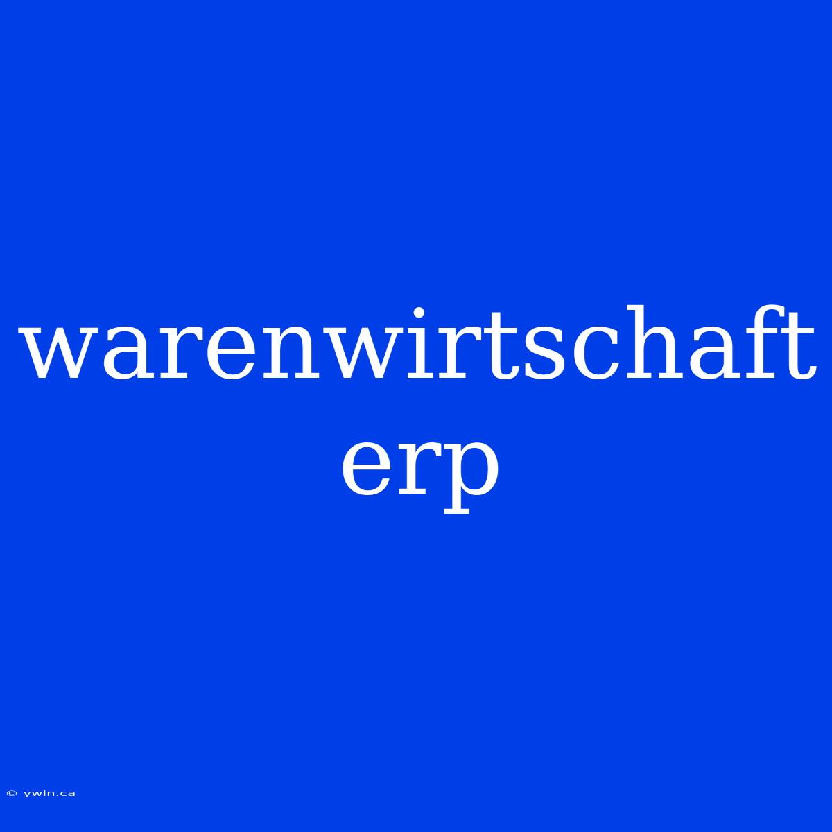 Warenwirtschaft Erp