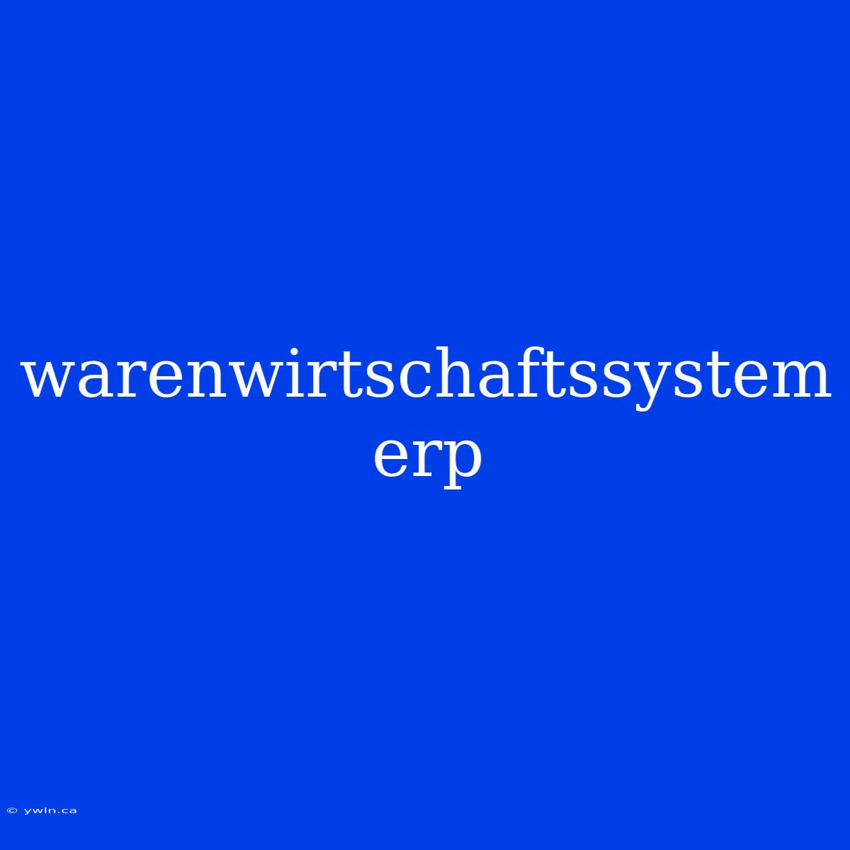 Warenwirtschaftssystem Erp