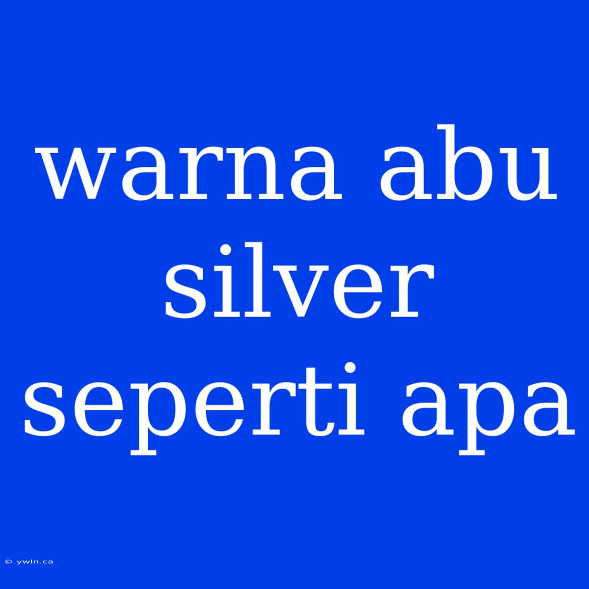 Warna Abu Silver Seperti Apa