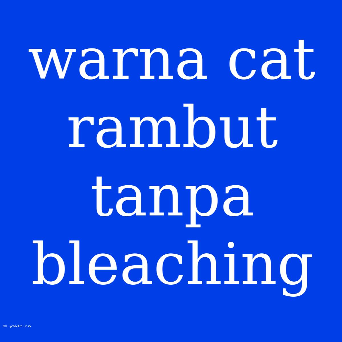 Warna Cat Rambut Tanpa Bleaching