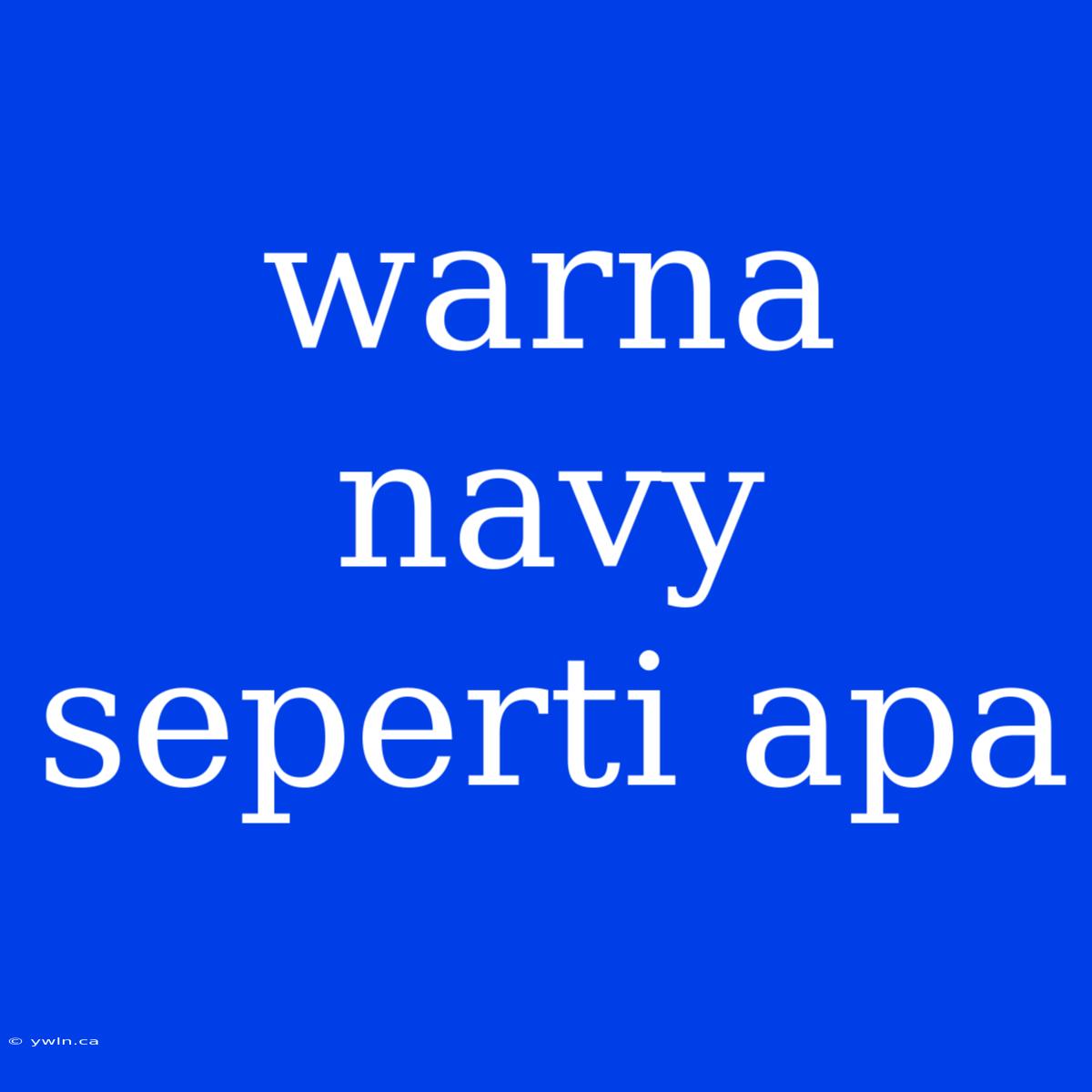 Warna Navy Seperti Apa