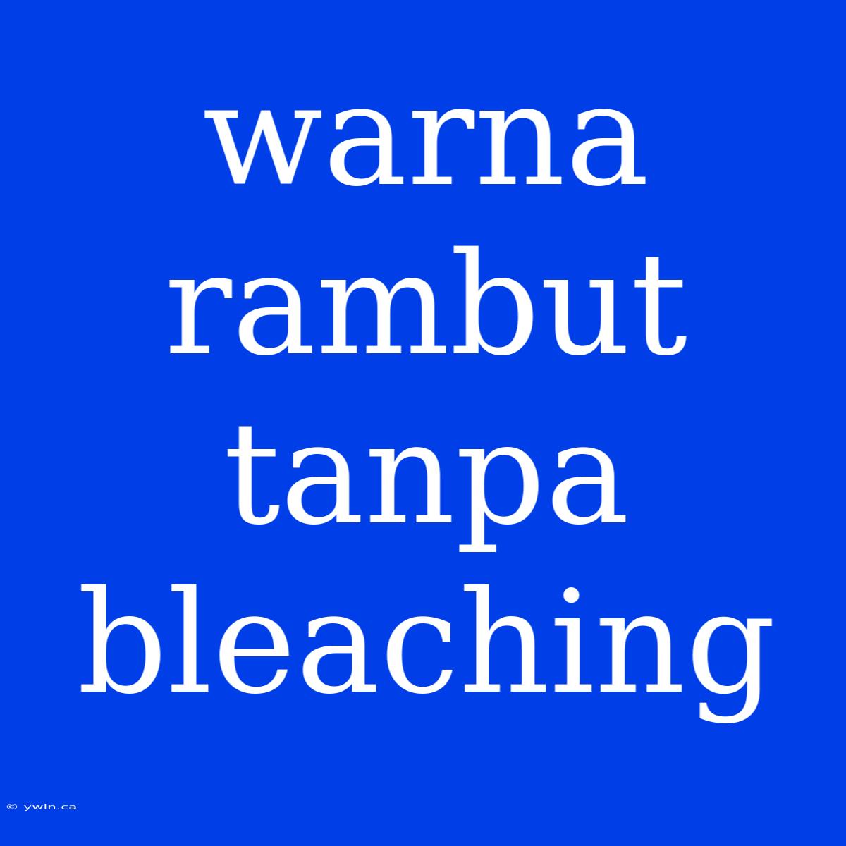 Warna Rambut Tanpa Bleaching