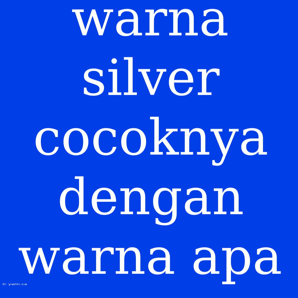 Warna Silver Cocoknya Dengan Warna Apa