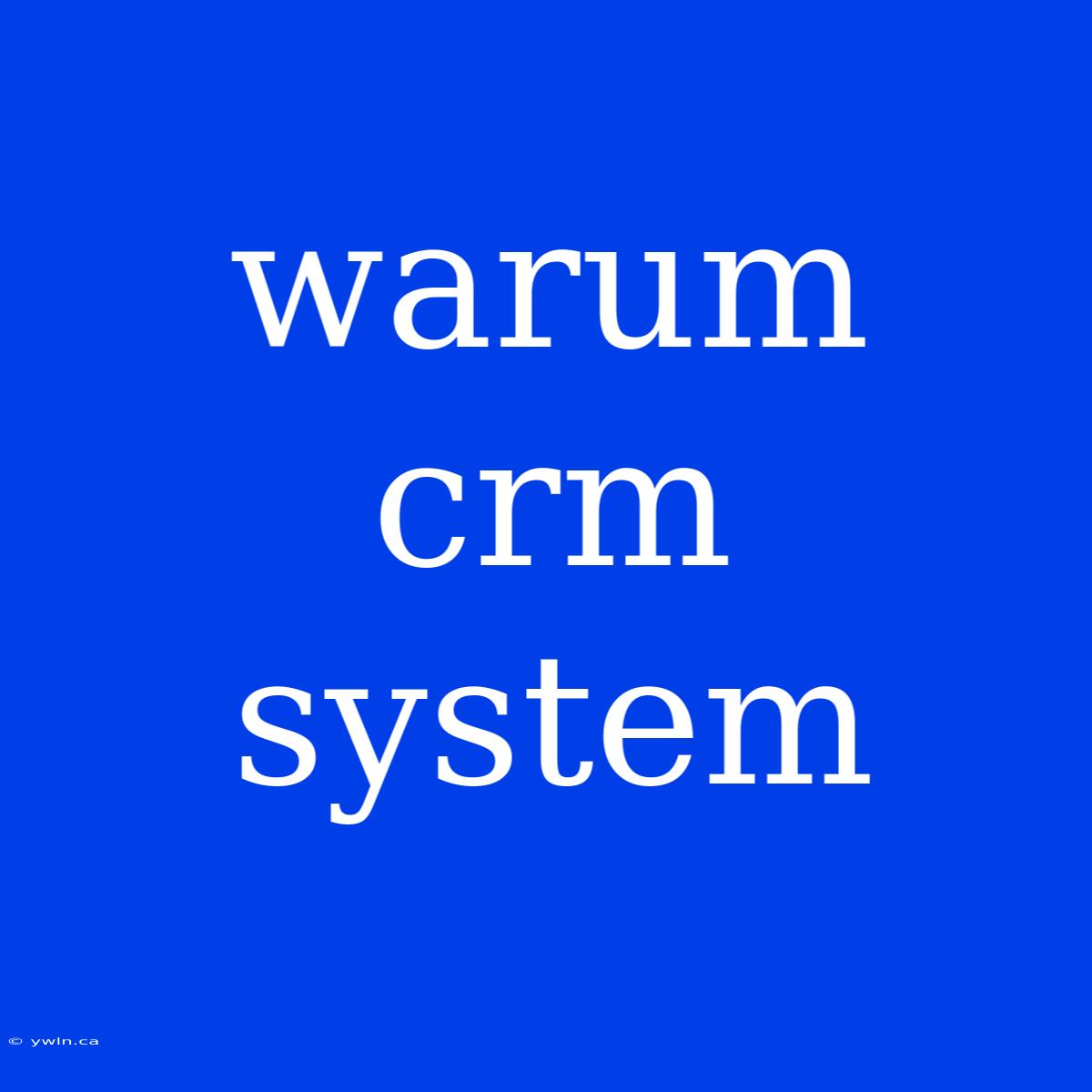 Warum Crm System