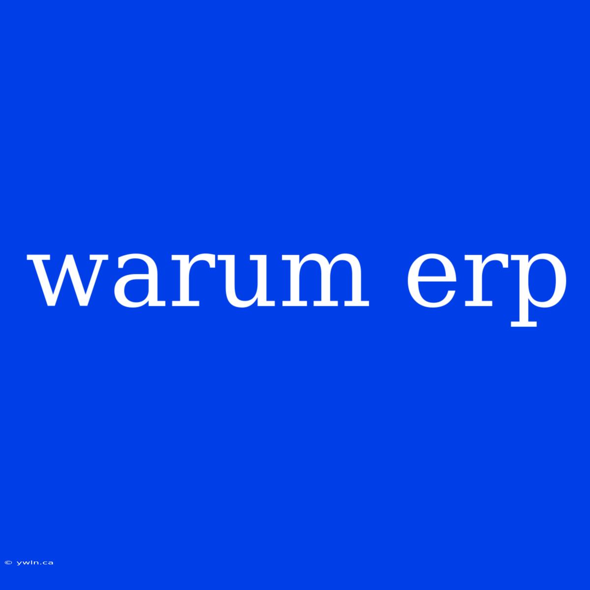 Warum Erp