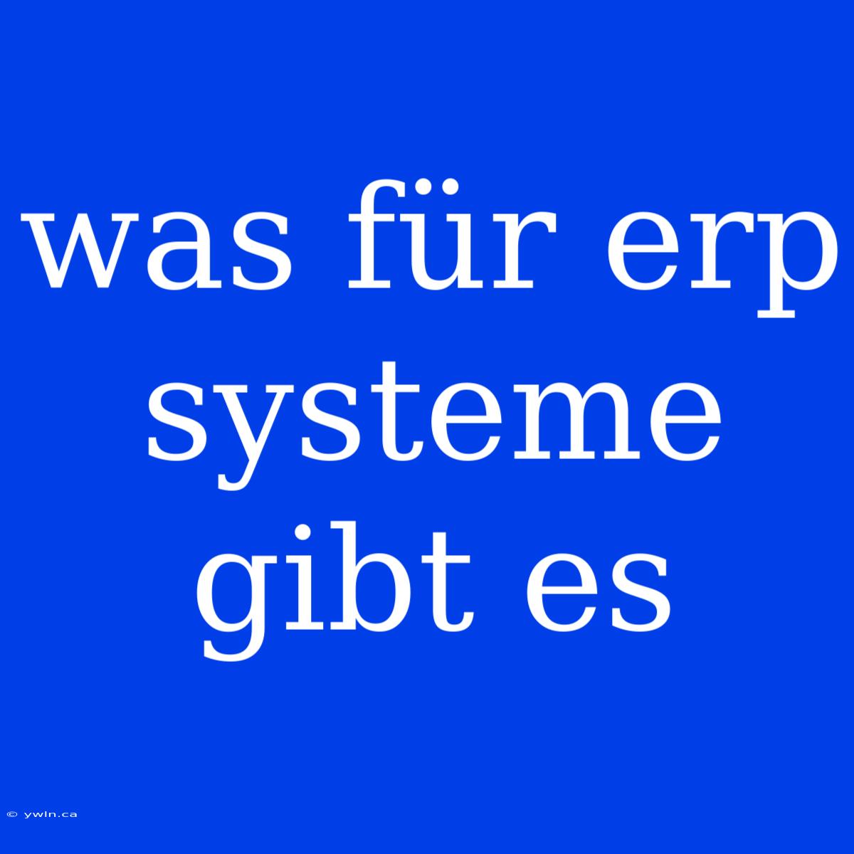 Was Für Erp Systeme Gibt Es