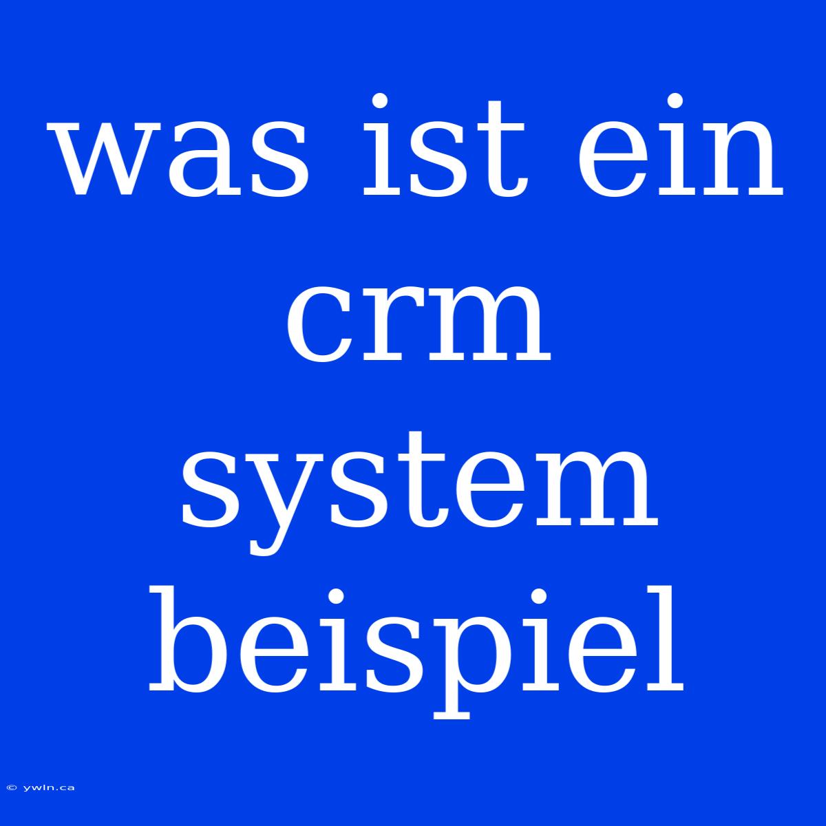 Was Ist Ein Crm System Beispiel