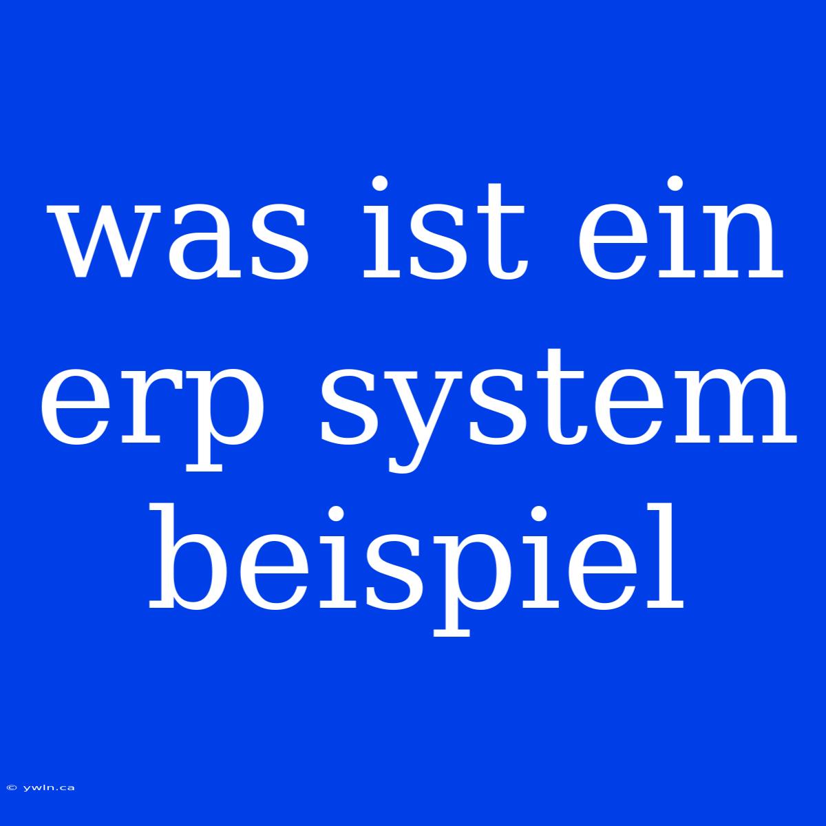 Was Ist Ein Erp System Beispiel