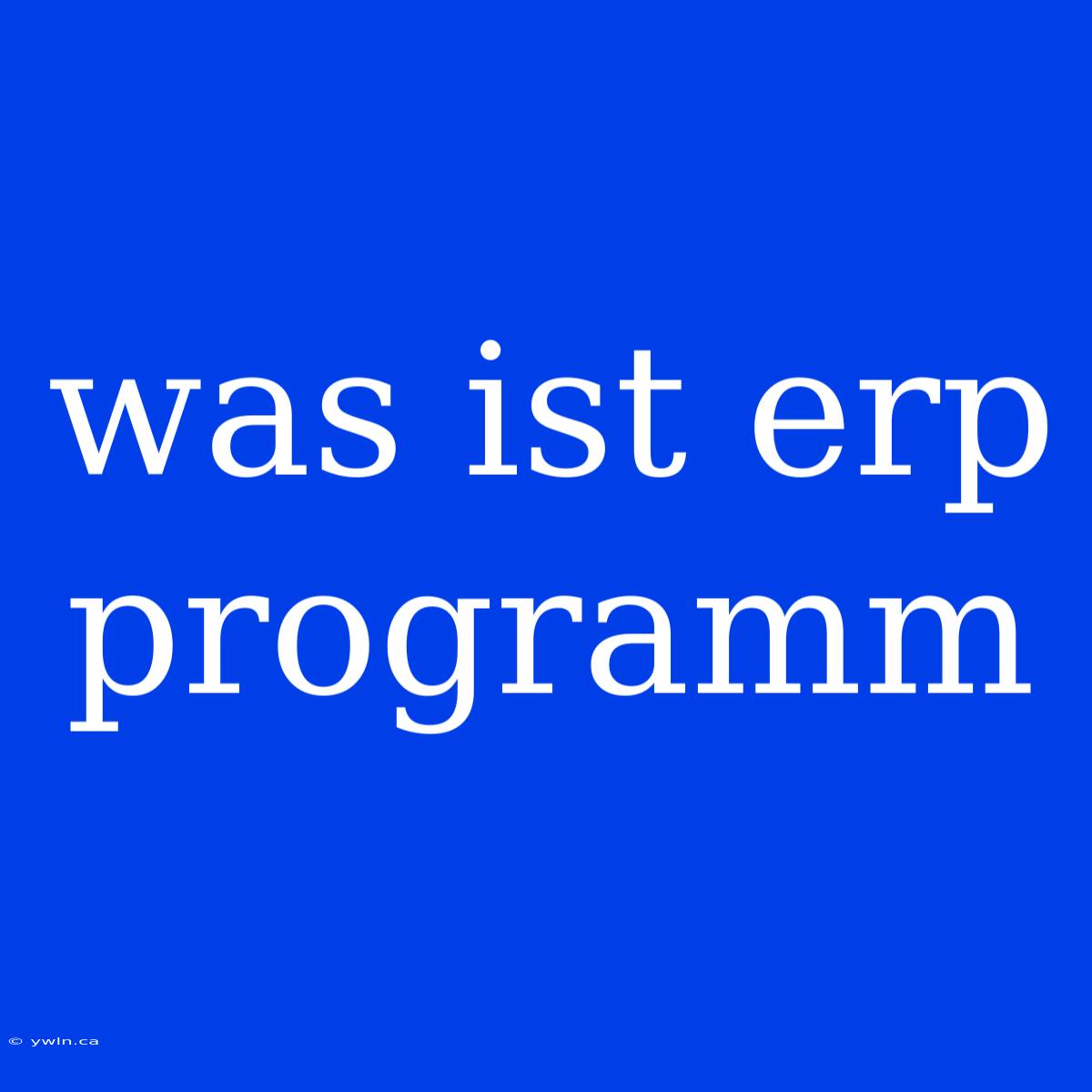 Was Ist Erp Programm