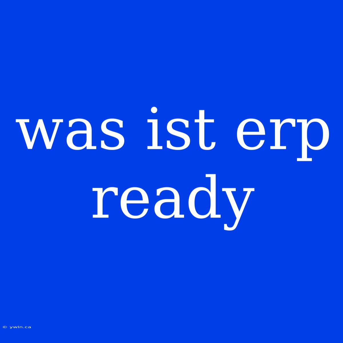 Was Ist Erp Ready