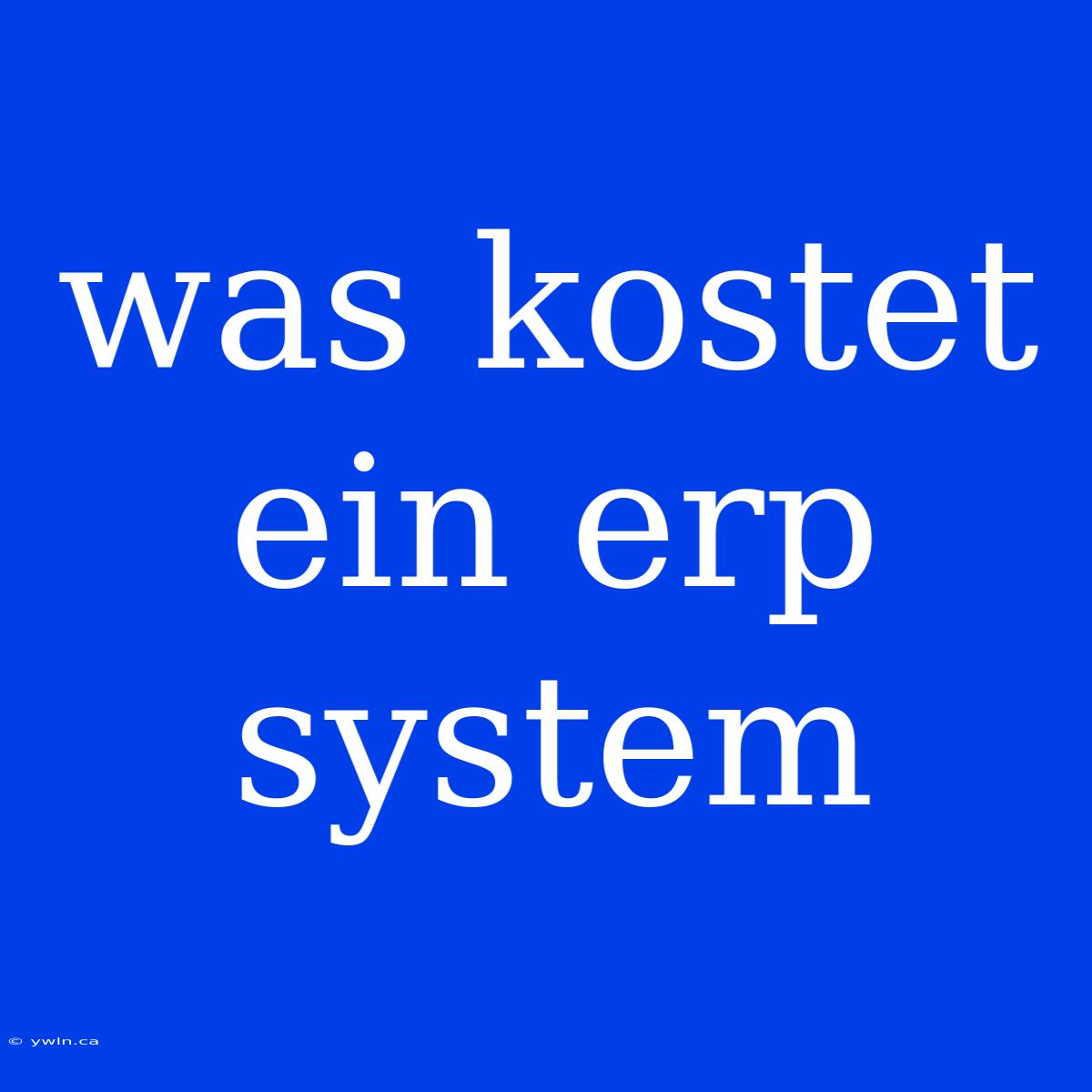 Was Kostet Ein Erp System