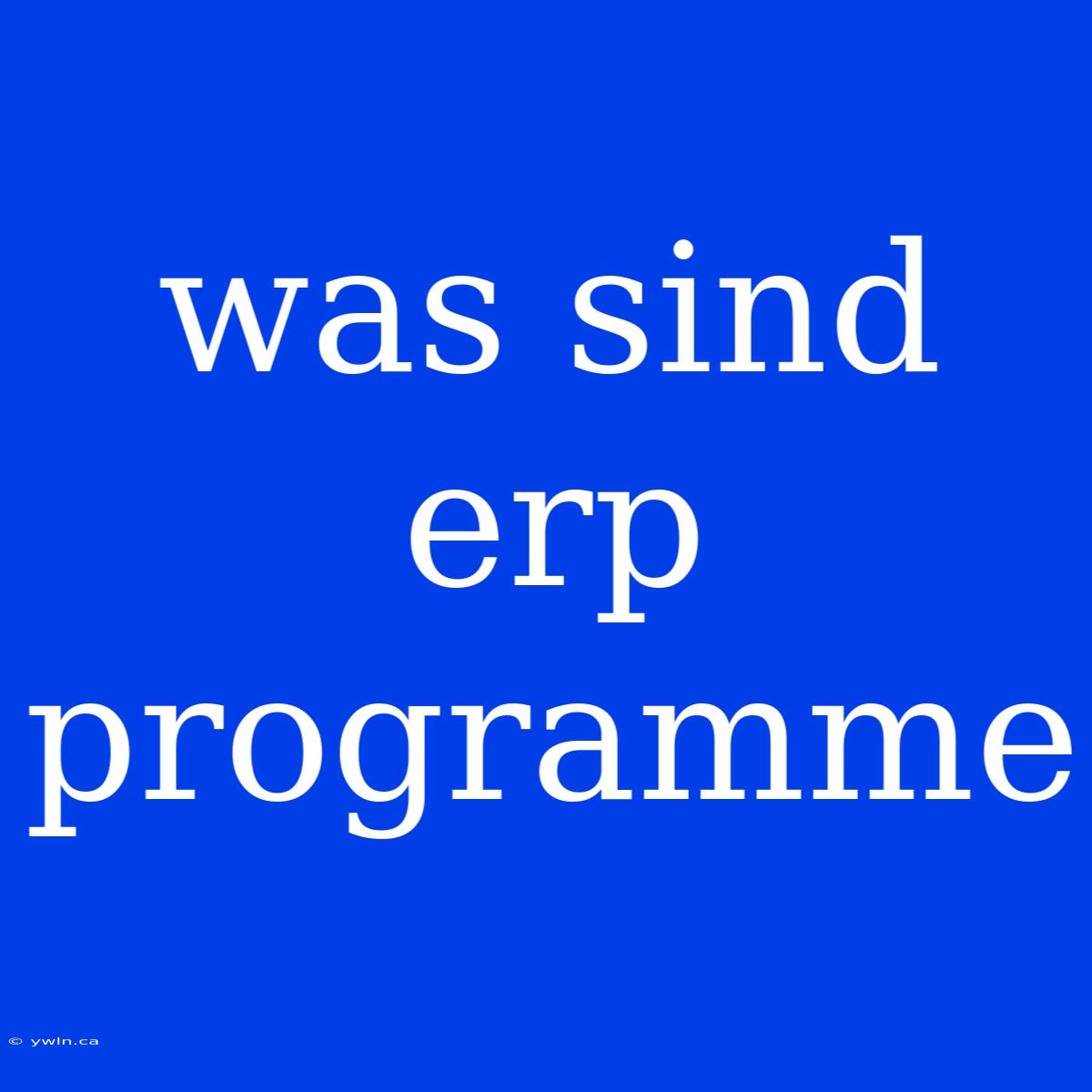 Was Sind Erp Programme