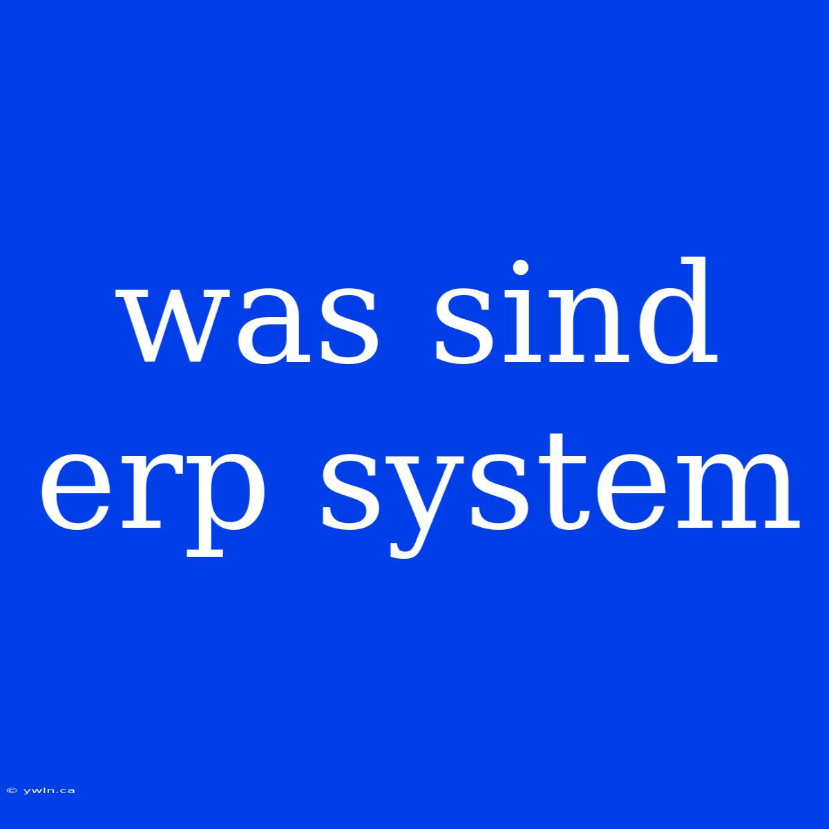 Was Sind Erp System