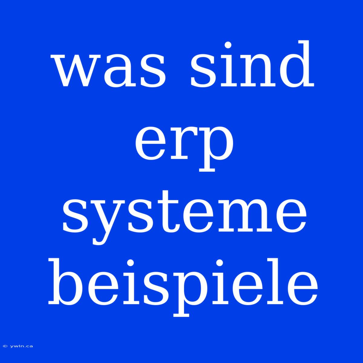 Was Sind Erp Systeme Beispiele