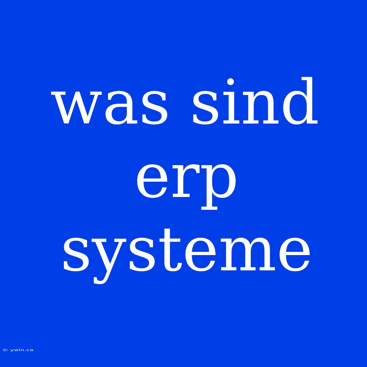 Was Sind Erp Systeme