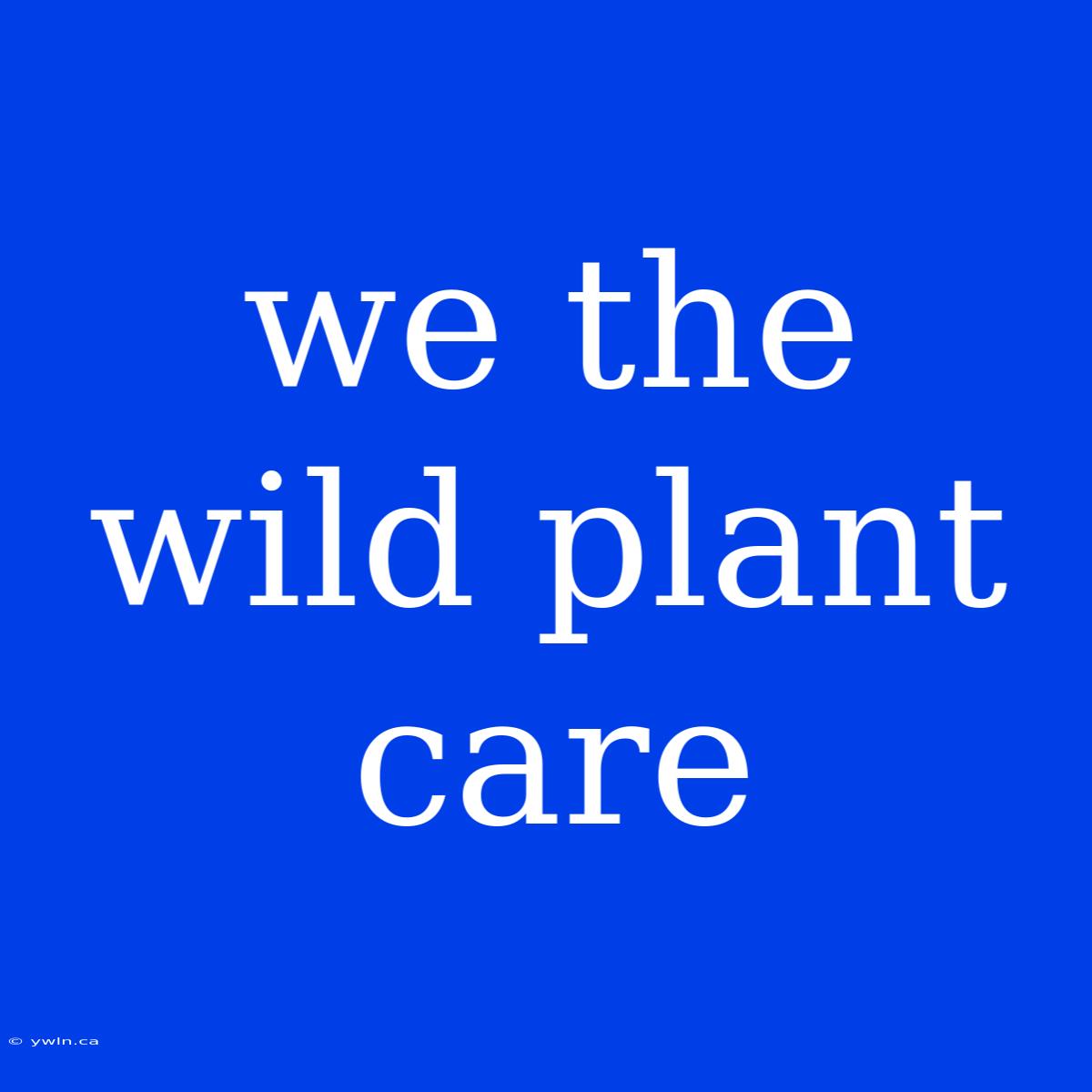 We The Wild Plant Care