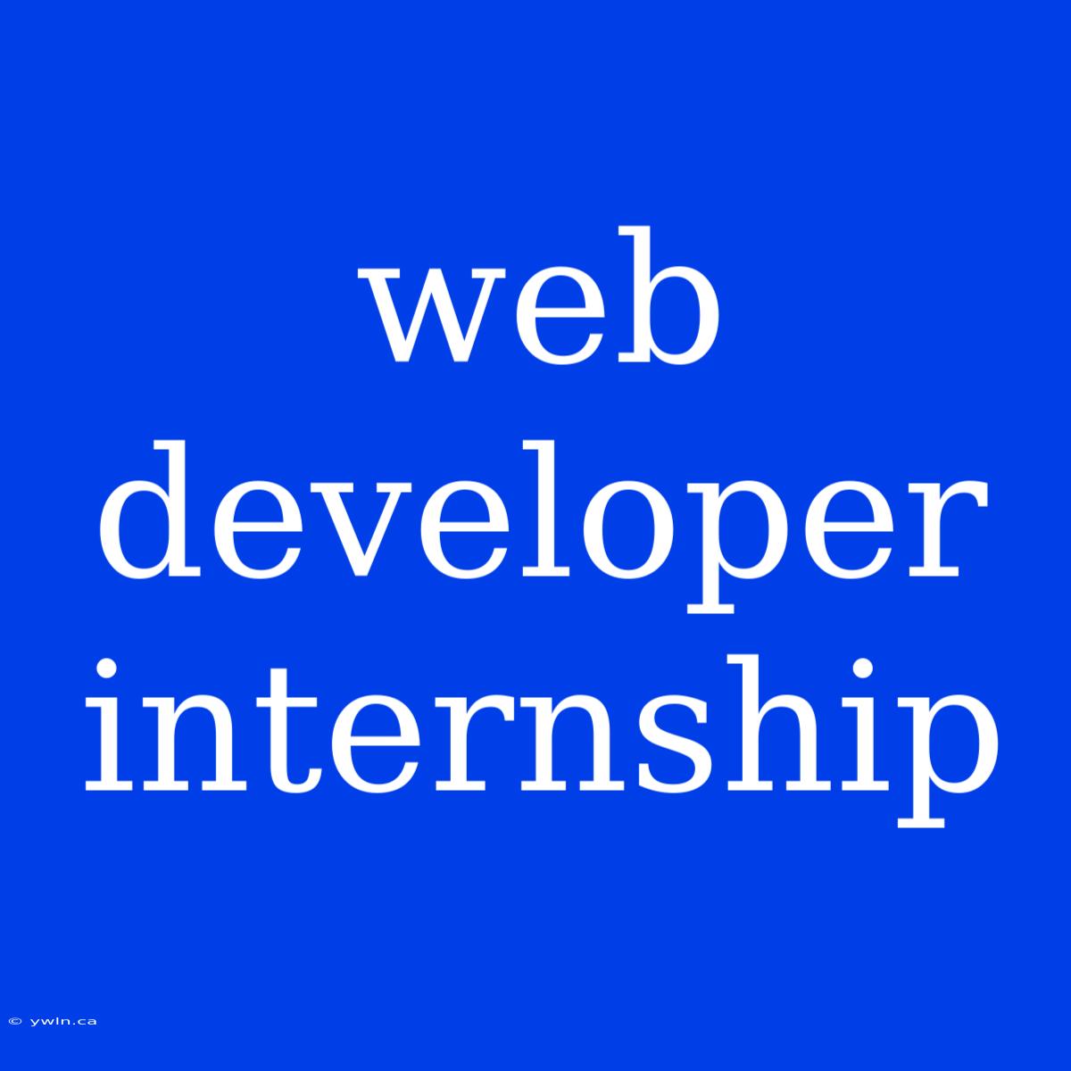 Web Developer Internship