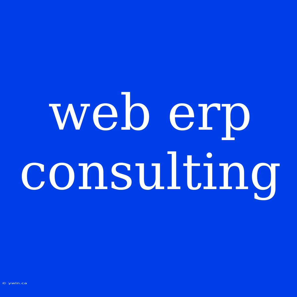 Web Erp Consulting